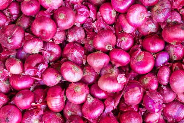 Many red onions at a wholesale vegetable market.